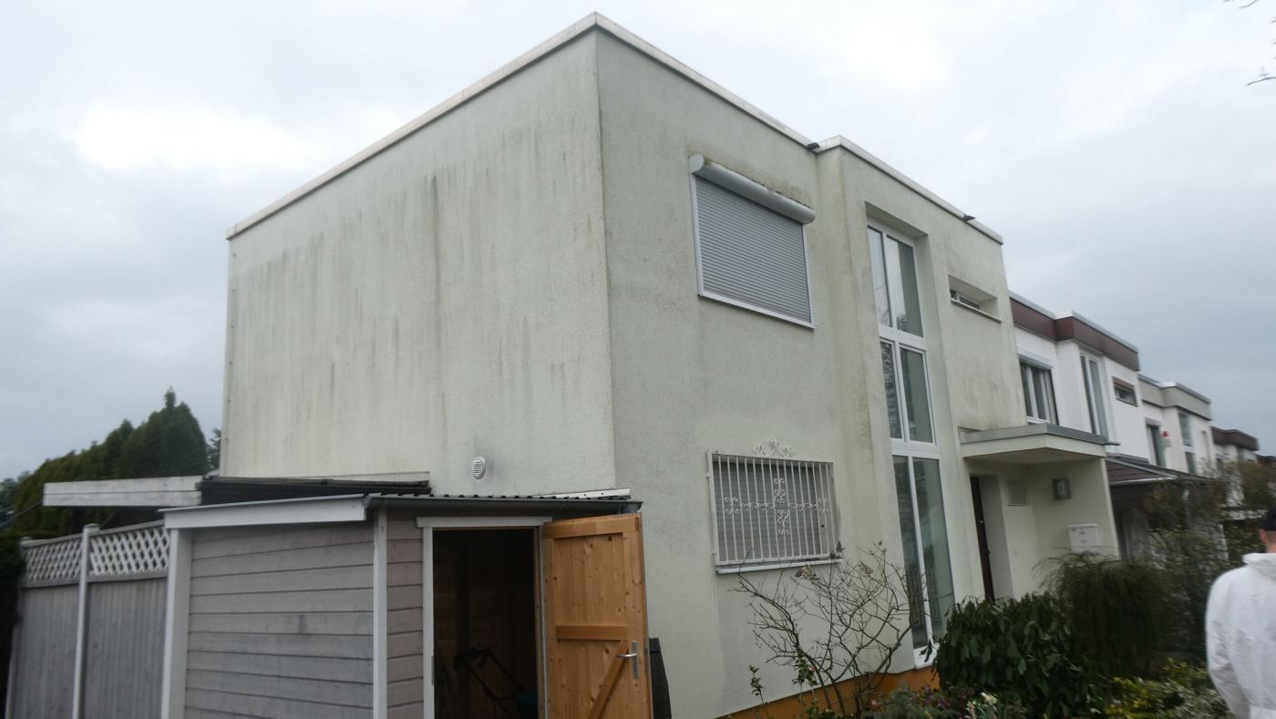 Vorher: graue, bewachsene Fassade eines modernen Hauses